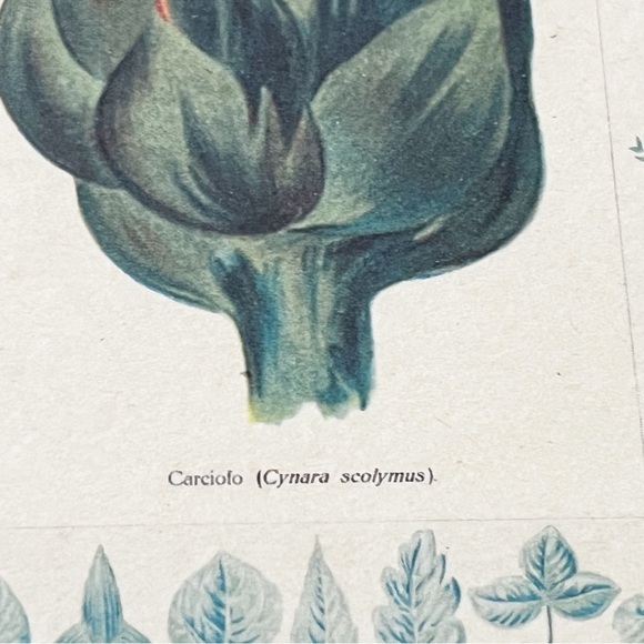 Giovanni Morello Framed Prints Artichoke Pepper Watercolor Paintings Set of 2 - Picture 5 of 12